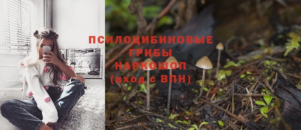 мет Балахна