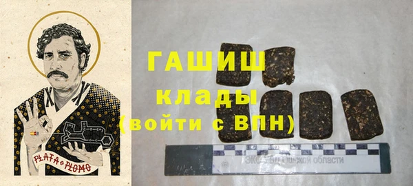 твердый Арсеньев