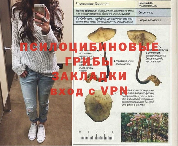 бошки Баксан