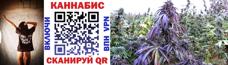 МЕГА   Сретенск  Канабис гибрид 